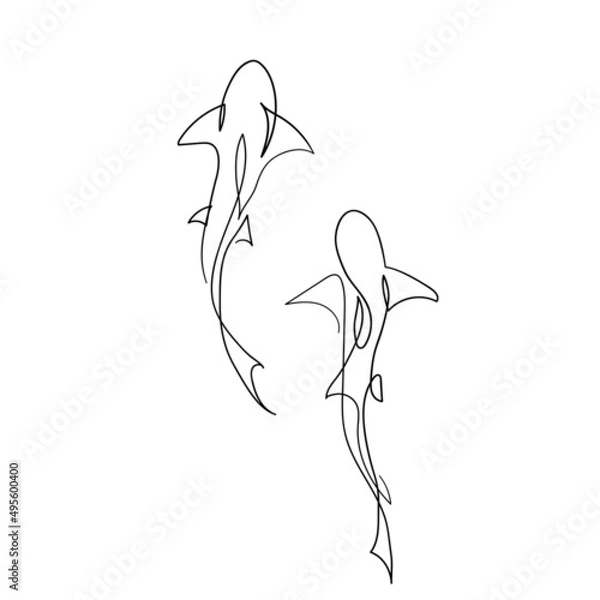 Obraz Continuous one line vector shark isolated on white background.