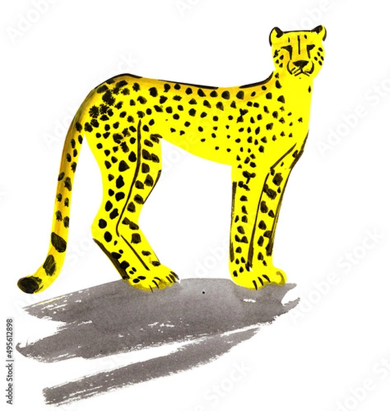 Obraz cheetah stands, predator, quick sketch