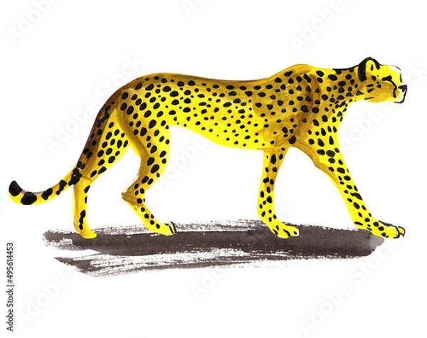 Obraz cheetah is coming, predator, quick sketch