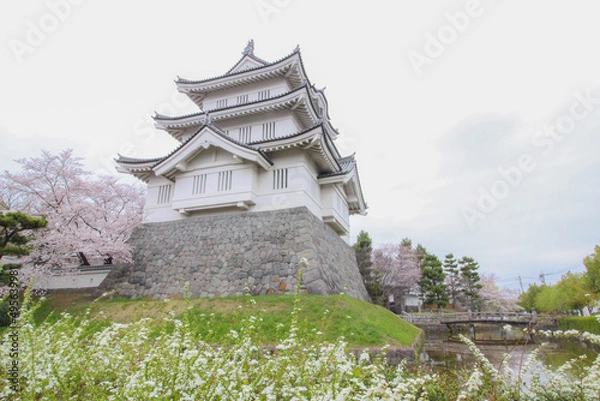 Obraz サクラがきれいな春の忍城