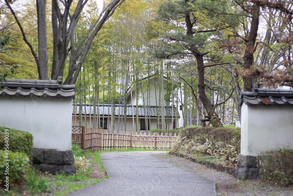 Obraz 竹林と木が美しい忍城の歩道