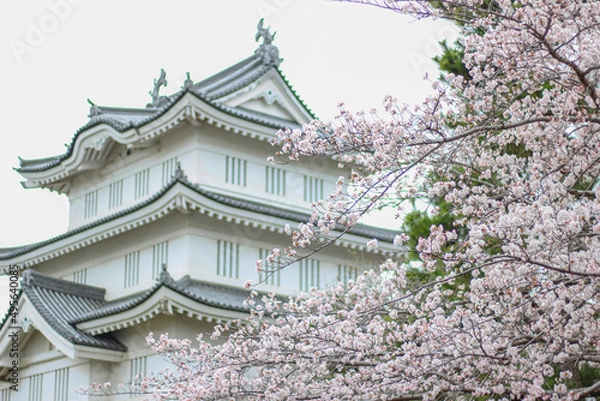 Obraz サクラと日本の城