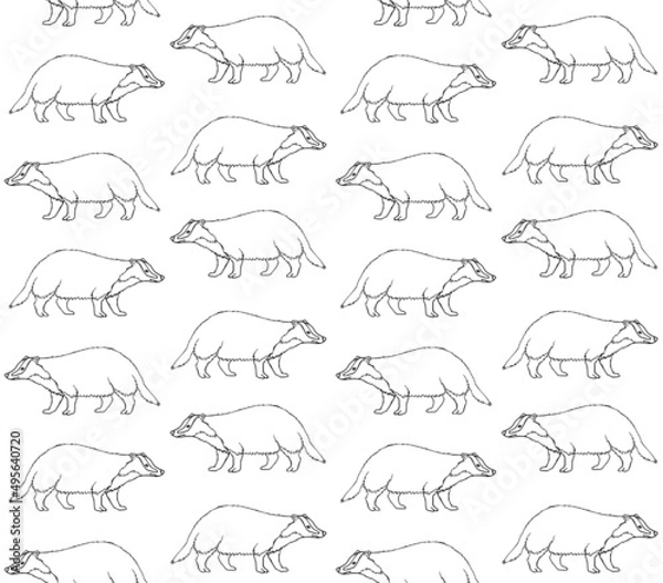Fototapeta Vector seamless pattern of hand drawn doodle sketch badger isolated on white background