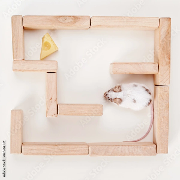 Obraz inteligentna mysz w labiryncie szukająca sera