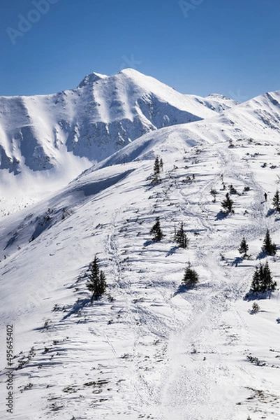 Obraz Dolina Kościeliska