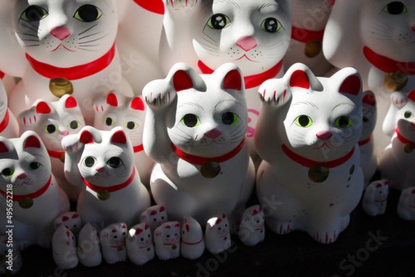 Obraz お寺にたくさんの招き猫