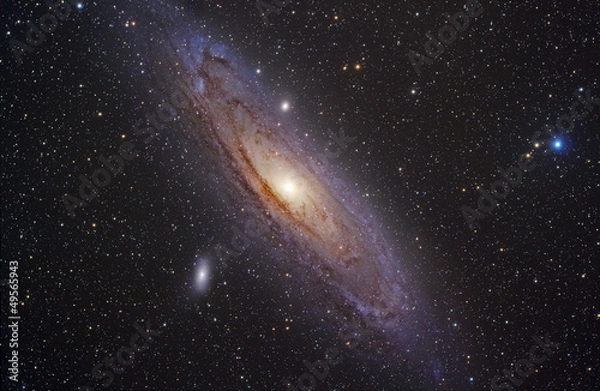 Fototapeta Andromeda galaxy