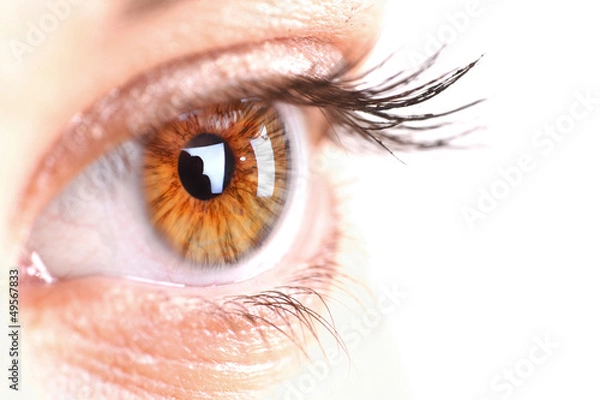 Obraz woman eye with long eyelashes. Space for text.