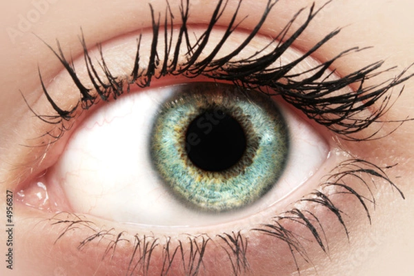 Obraz Eye Macro Shot