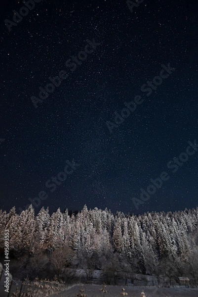 Fototapeta Starry winter night in the mountains