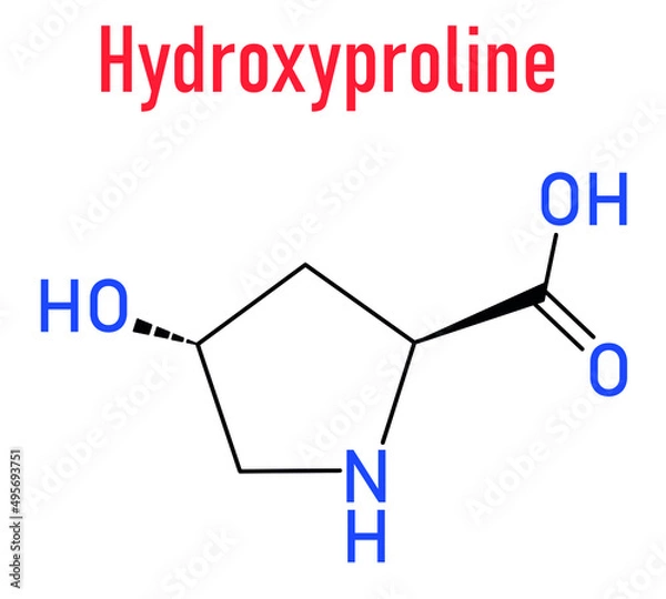 Fototapeta Hydroxyproline (Hyp) amino acid. Essential component of collagen. Skeletal formula.