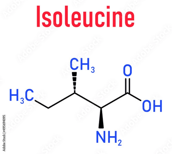 Fototapeta Isoleucine (L-isoleucine, Ile, I) amino acid molecule. Skeletal formula.