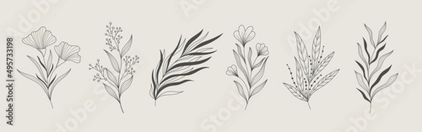 Fototapeta Handrawn floral elements collection. Botanical elements set.