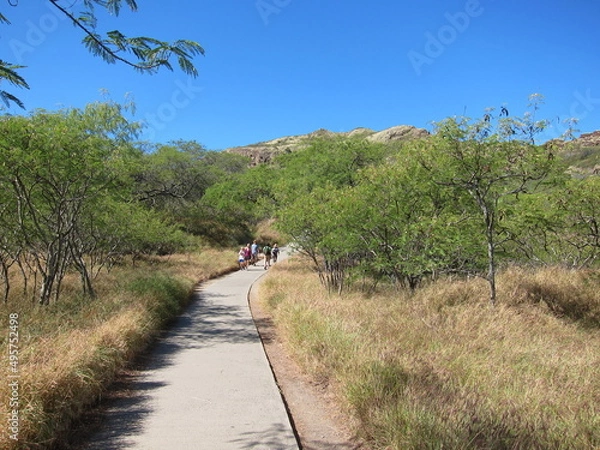 Fototapeta Winding concrete walkaway towards Diamond Head tuff cone summit. Blue sky, no clouds, green and yellow vegetation around. Oahu, Hawaii.