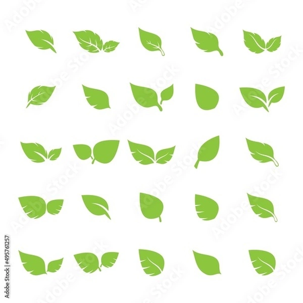 Fototapeta unique green leaf symbol logo vector complete collection bundle
