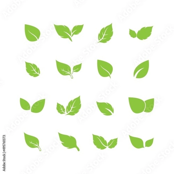 Fototapeta unique green leaf symbol logo vector complete collection bundle