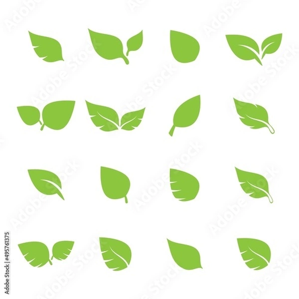 Fototapeta unique green leaf symbol logo vector complete collection bundle