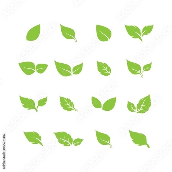 Fototapeta unique green leaf symbol logo vector complete collection bundle