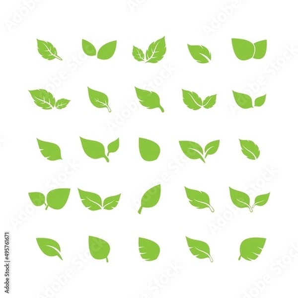 Fototapeta unique green leaf symbol logo vector complete collection bundle