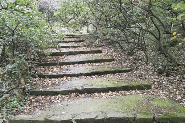 Obraz Stone stairs in a park
