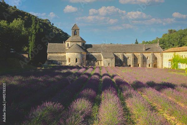 Fototapeta Selective focus on Abbey of Senanque with field of lavender flowers in blossom. Gordes, Luberon, Vaucluse, Provence, France, Europe.
