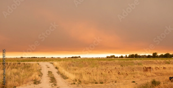 Obraz Summer wildfire smoke, 2020