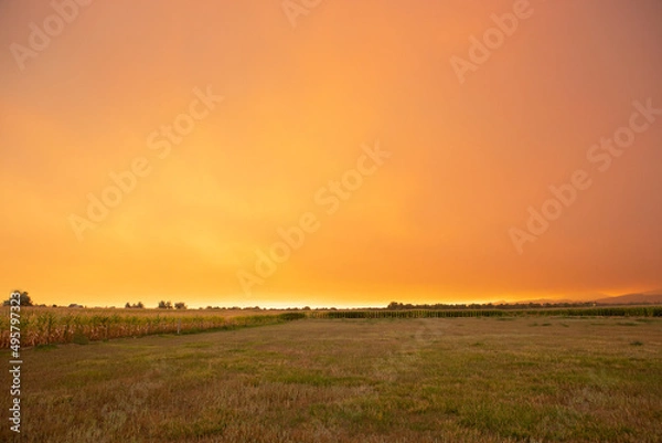 Obraz Summer wildfire smoke, 2020