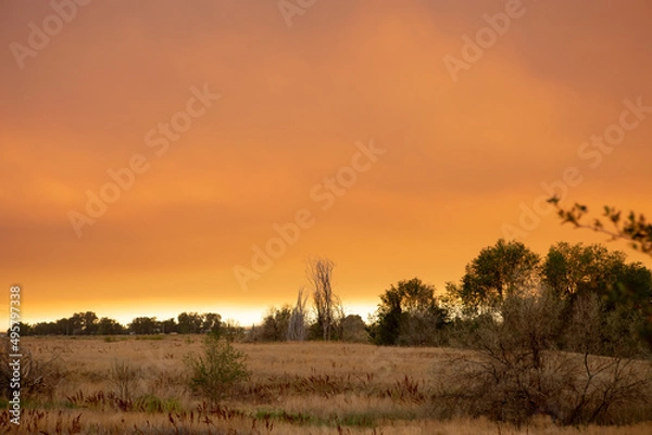 Obraz Summer wildfire smoke, 2020