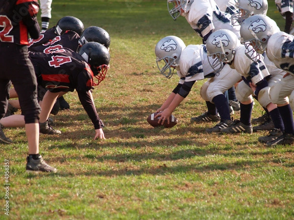 Obraz Gotowy do walki