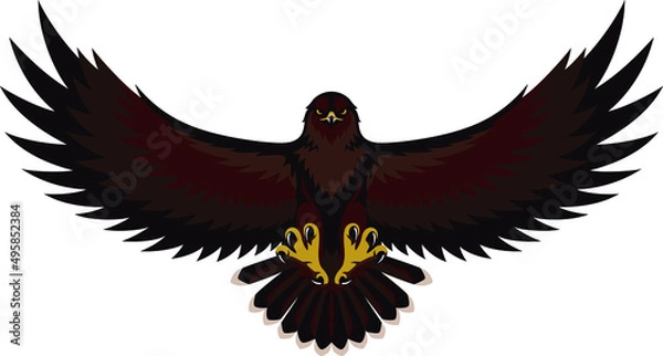 Obraz Red Hawk Spreading Its Wings 