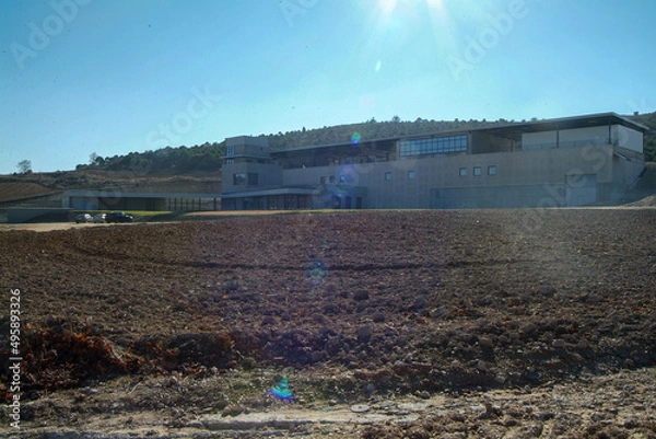 Fototapeta Paisaje de viñedos de la Ribera del Duero en invierno. Castilla y León, España