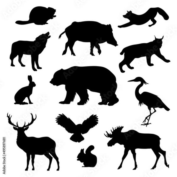 Fototapeta Set of black silhouette wild forest steppe animals. Vector illustration isolated on white, side view profile. Collection woodland animals. EPS