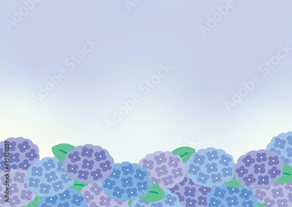Obraz 紫陽花の背景イラスト