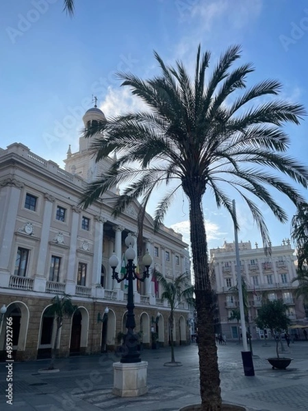 Obraz palm trees on the beach