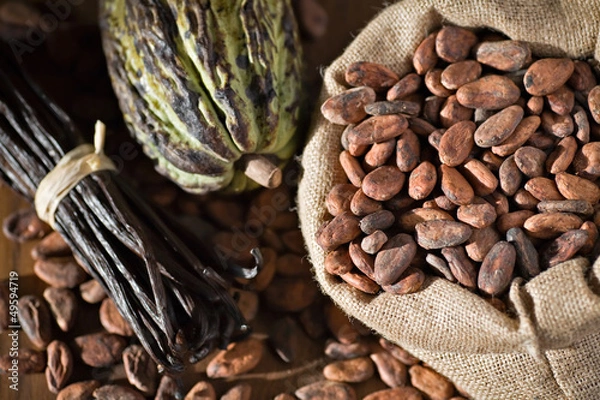 Obraz Cacao, fèves et cabosse