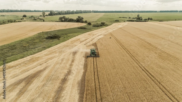 Obraz Aerial view combine harvester harvesting on the field