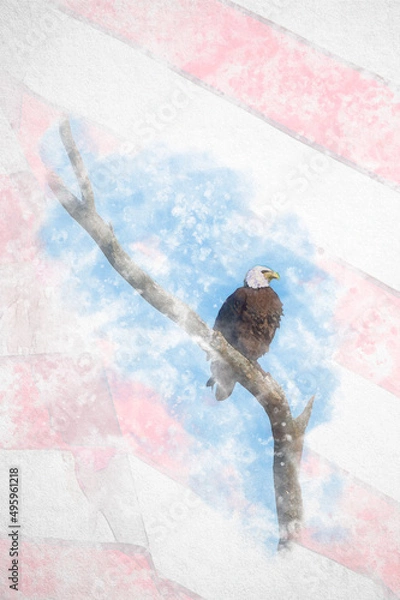 Obraz Watercolour painting of Portrait of American bald eagle with USA American flag