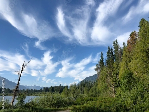 Fototapeta clouds over the forest
