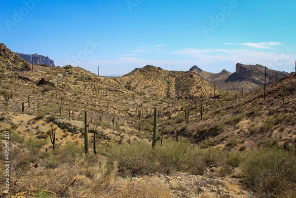Obraz Arizona Desert