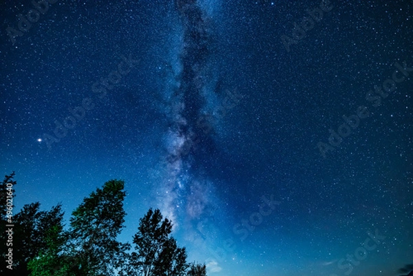 Fototapeta 戦場ヶ原の星空 縦構図