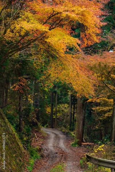 Obraz 紅葉の道2 縦構図