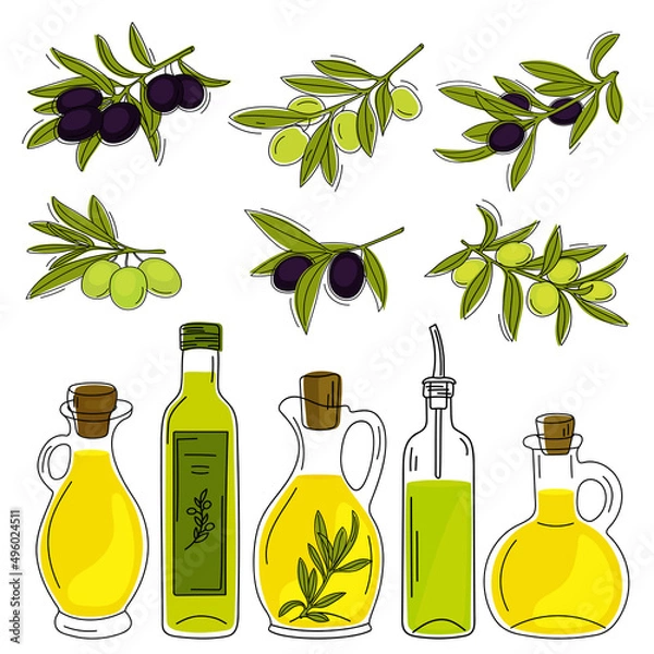 Obraz Hand drawn olive branches and set of glass bottles with olive oil isolated on a white background. Vector illustration.