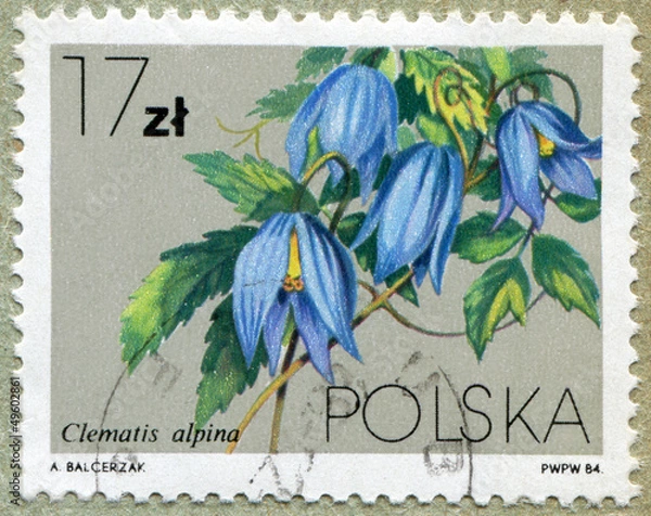 Fototapeta postage stamp