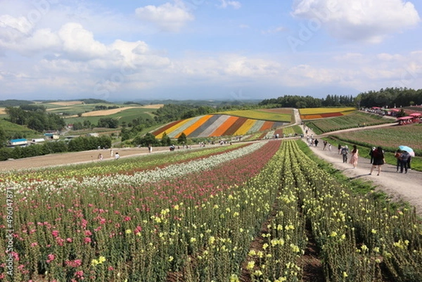 Fototapeta Japan Sapporo