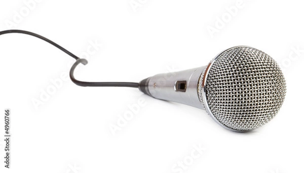 Obraz Mic on white background
