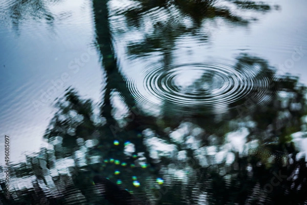 Obraz 自然の芸術〜波紋〜