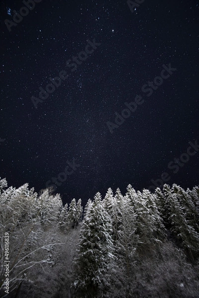 Obraz Amazing winter landscape with the starry sky and forest covered in snow. Mountains region in Ukraine