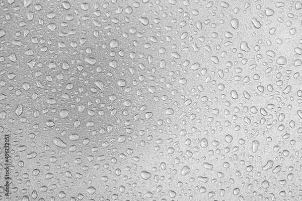 Obraz Water droplets on gray background covered with water droplets, bubbles in water.