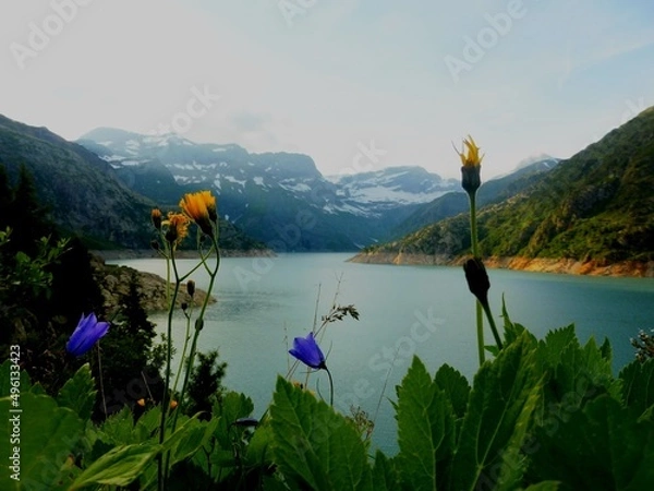 Obraz lake and mountains