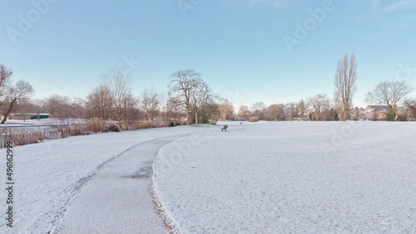 Obraz winter path in the park